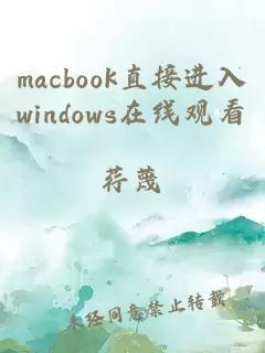 macbook直接进入windows在线观看