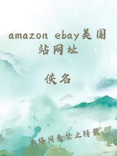 amazon ebay美国站网址