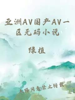 亚洲AV国产AV一区无码小说