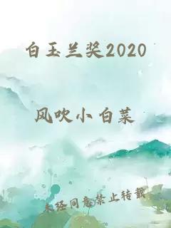 白玉兰奖2020