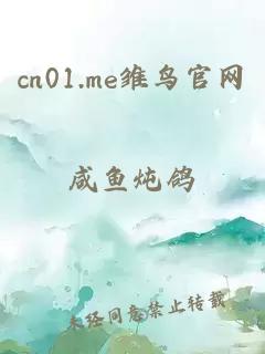 cn01.me雏鸟官网