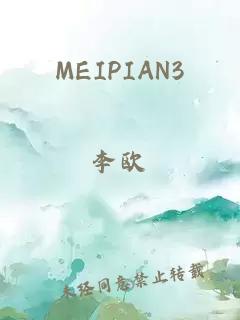MEIPIAN3
