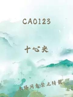 CAO123