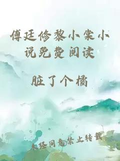 傅廷修黎小棠小说免费阅读